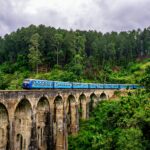 Trekking & Whale Watching Sri Lanka